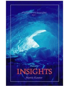 Chassidic Insights - A Guide for the Entangled