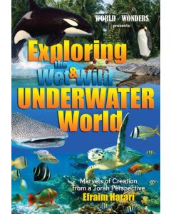 Exploring the Wet and Wild Underwater World